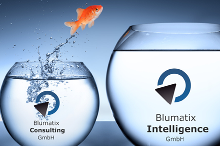 Blumatix Intelligence
